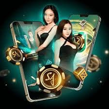hi77 Mobile APP